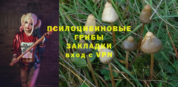 прущие крисы Магадан