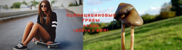 гашик Магас