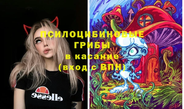 гашик Магас
