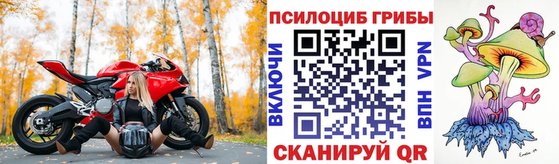 Псилоцибиновые грибы мухоморы  Курск 